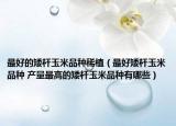 最好的矮杆玉米品种稀植（最好矮杆玉米品种 产量最高的矮杆玉米品种有哪些）