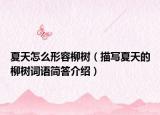 夏天怎么形容柳树（描写夏天的柳树词语简答介绍）