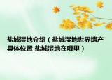 盐城湿地介绍（盐城湿地世界遗产具体位置 盐城湿地在哪里）