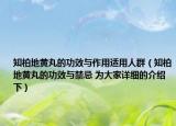 知柏地黄丸的功效与作用适用人群（知柏地黄丸的功效与禁忌 为大家详细的介绍下）