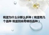 桃蛋为什么分那么多种（桃蛋有几个品种 桃蛋到底有哪些品种）