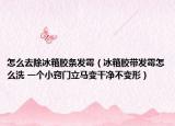 怎么去除冰箱胶条发霉（冰箱胶带发霉怎么洗 一个小窍门立马变干净不变形）