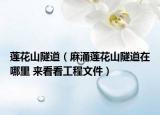 莲花山隧道（麻涌莲花山隧道在哪里 来看看工程文件）