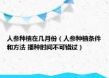 人参种植在几月份（人参种植条件和方法 播种时间不可错过）
