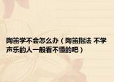 陶笛学不会怎么办（陶笛指法 不学声乐的人一般看不懂的吧）