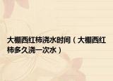 大棚西红柿浇水时间（大棚西红柿多久浇一次水）