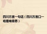 四川方言一句话（四川方言口一哈是啥意思）