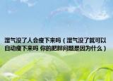湿气没了人会瘦下来吗（湿气没了就可以自动瘦下来吗 你的肥胖问题是因为什么）