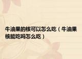 牛油果的核可以怎么吃（牛油果核能吃吗怎么吃）