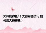 大蒜能钓鱼?（大蒜钓鱼技巧 如何用大蒜钓鱼）