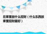 在家里放什么招财（什么东西放家里招财最好）