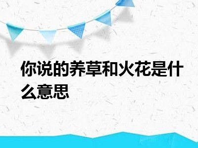 你说是什么意思火花