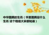 中华图腾的生肖（华夏图腾是什么生肖 这个相信大家都知道）
