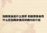 指数基金是什么意思 和股票基金有什么区别具体情况详细内容介绍