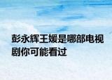 彭永辉王媛是哪部电视剧你可能看过