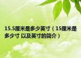 15.5厘米是多少英寸（15厘米是多少寸 以及英寸的简介）
