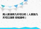 用人尿浇菜几天可以吃（人尿放几天可以浇菜 你知道吗）
