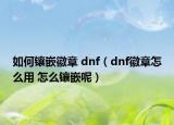 如何镶嵌徽章 dnf（dnf徽章怎么用 怎么镶嵌呢）