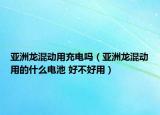 亚洲龙混动用充电吗（亚洲龙混动用的什么电池 好不好用）