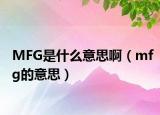 MFG是什么意思啊（mfg的意思）