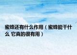蜜蜂还有什么作用（蜜蜂能干什么 它真的很有用）
