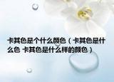 卡其色是个什么颜色（卡其色是什么色 卡其色是什么样的颜色）