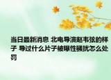 当日最新消息 北电导演赵韦弦的样子 导过什么片子被曝性骚扰怎么处罚