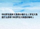 孕妇梦见很多大鱼预示着什么（梦见大鱼是什么意思 孕妇梦见大鱼是好事吗）