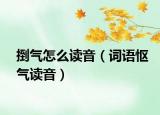 捯气怎么读音（词语怄气读音）