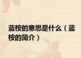 蓝桉的意思是什么（蓝桉的简介）