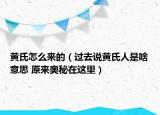 黄氏怎么来的（过去说黄氏人是啥意思 原来奥秘在这里）