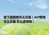 地下城宠物怎么交易（dnf宠物怎么交易 怎么卖宠物）