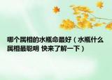 哪个属相的水瓶命最好（水瓶什么属相最聪明 快来了解一下）
