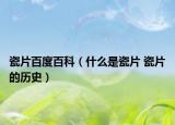 瓷片百度百科（什么是瓷片 瓷片的历史）