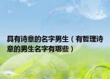 具有诗意的名字男生（有哲理诗意的男生名字有哪些）