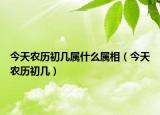 今天农历初几属什么属相（今天农历初几）