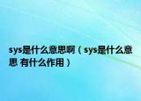 sys是什么意思啊（sys是什么意思 有什么作用）