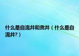 什么是自流井和贡井（什么是自流井?）