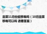 韭菜11月份能移栽吗（10月韭菜移栽可以吗 请看答案）