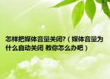 怎样把媒体音量关闭?（媒体音量为什么自动关闭 教你怎么办吧）