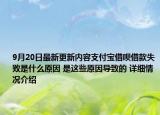9月20日最新更新内容支付宝借呗借款失败是什么原因 是这些原因导致的 详细情况介绍