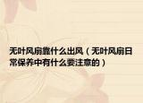 无叶风扇靠什么出风（无叶风扇日常保养中有什么要注意的）