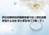 伊拉克椰枣和伊朗椰枣哪个好（伊拉克椰枣有什么功效 带大家去专门了解一下）