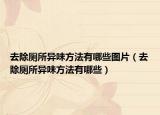 去除厕所异味方法有哪些图片（去除厕所异味方法有哪些）