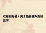 双胞胎好名（关于最新的双胞胎名字）