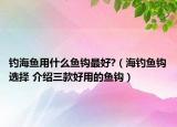 钓海鱼用什么鱼钩最好?（海钓鱼钩选择 介绍三款好用的鱼钩）