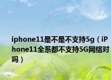 iphone11是不是不支持5g（iPhone11全系都不支持5G网络对吗）