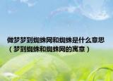 做梦梦到蜘蛛网和蜘蛛是什么意思（梦到蜘蛛和蜘蛛网的寓意）