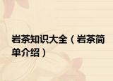岩茶知识大全（岩茶简单介绍）