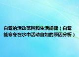 白鹭的活动范围和生活规律（白鹭能寒冬在水中活动自如的原因分析）